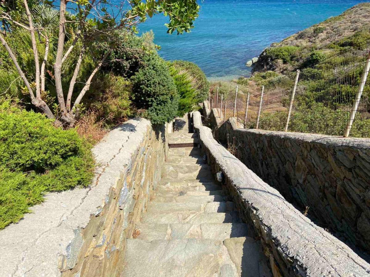 Andros Homes Sea Side Apartment & Studio Gavrio Extérieur photo