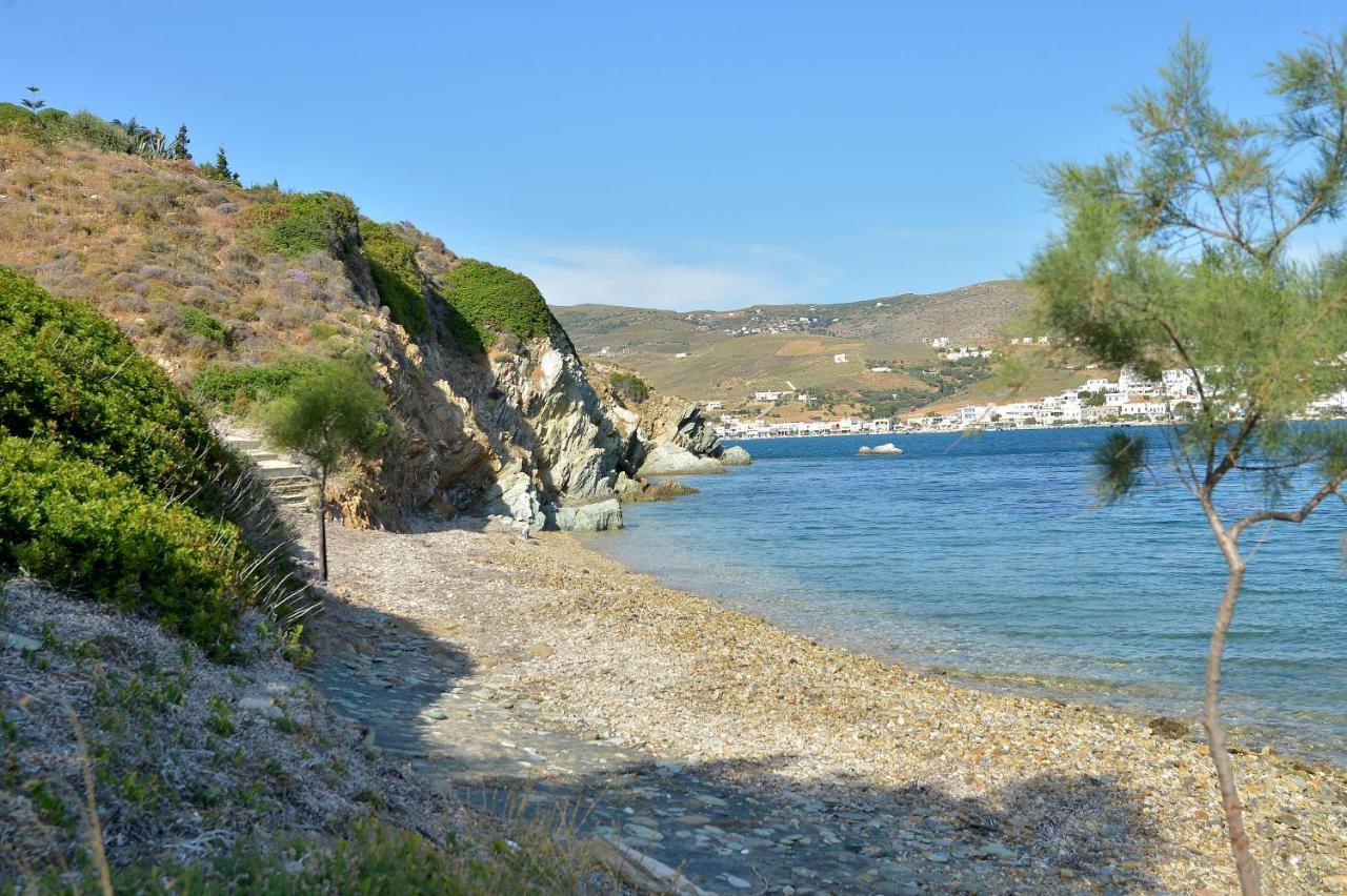 Andros Homes Sea Side Apartment & Studio Gavrio Extérieur photo